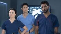 Greys Anatomy